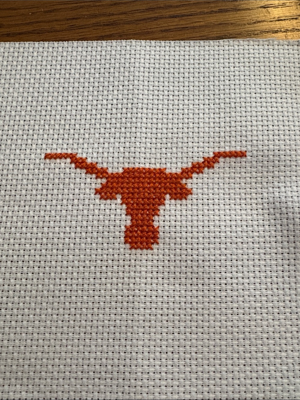 Hand-stitched Longhorn Cross Stitch